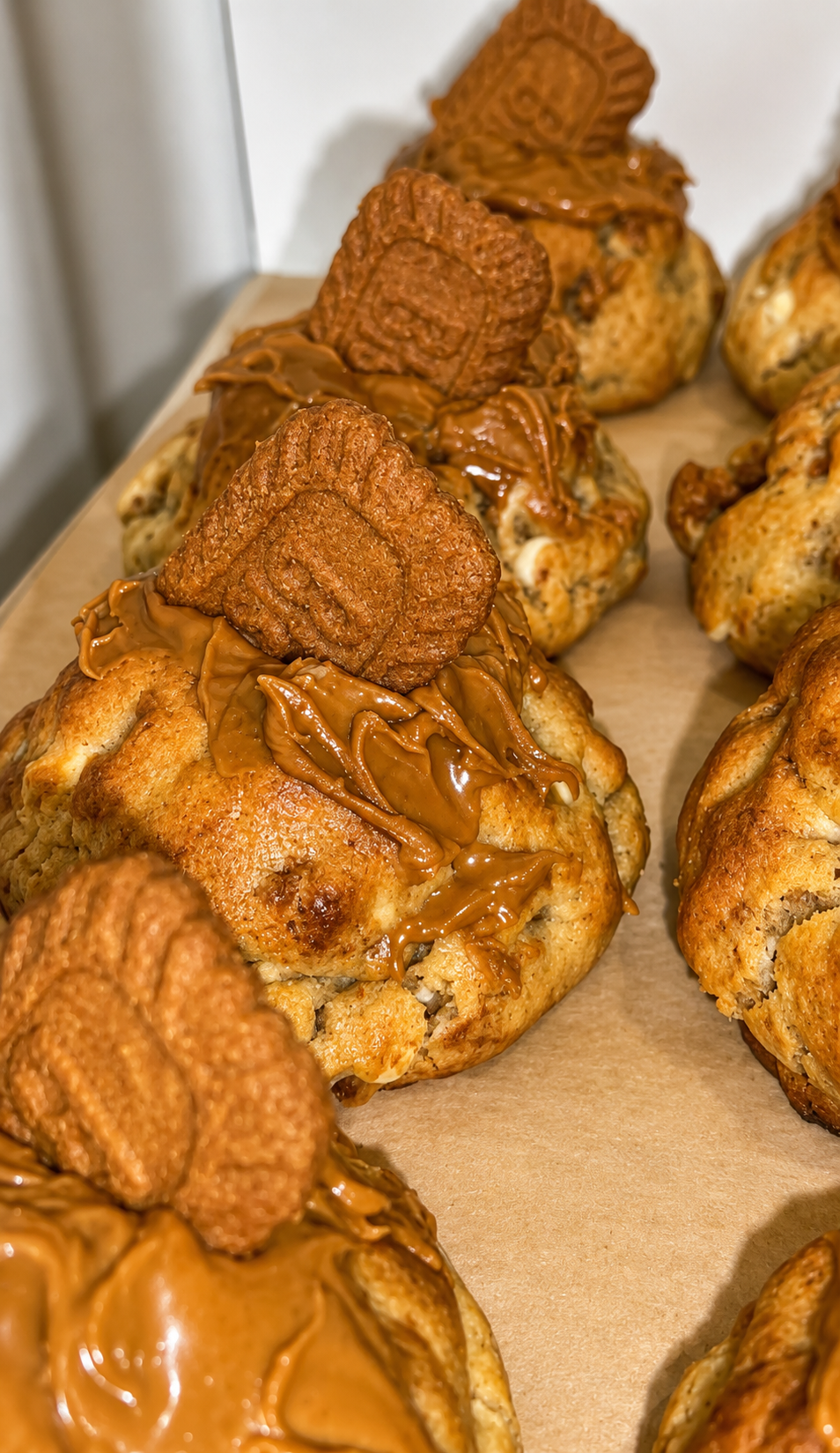 Lotus Biscoff